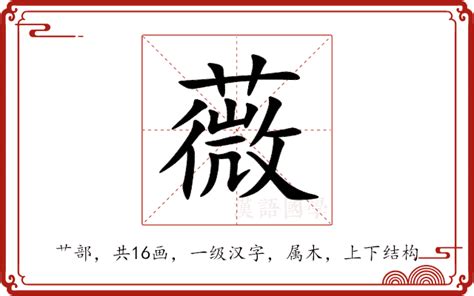 薇的意思|薇字的解释